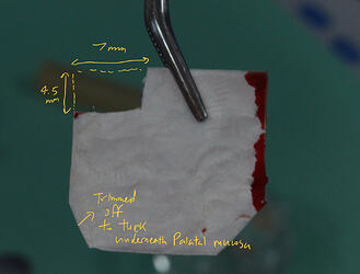 图像07-03-2026 22.02 2